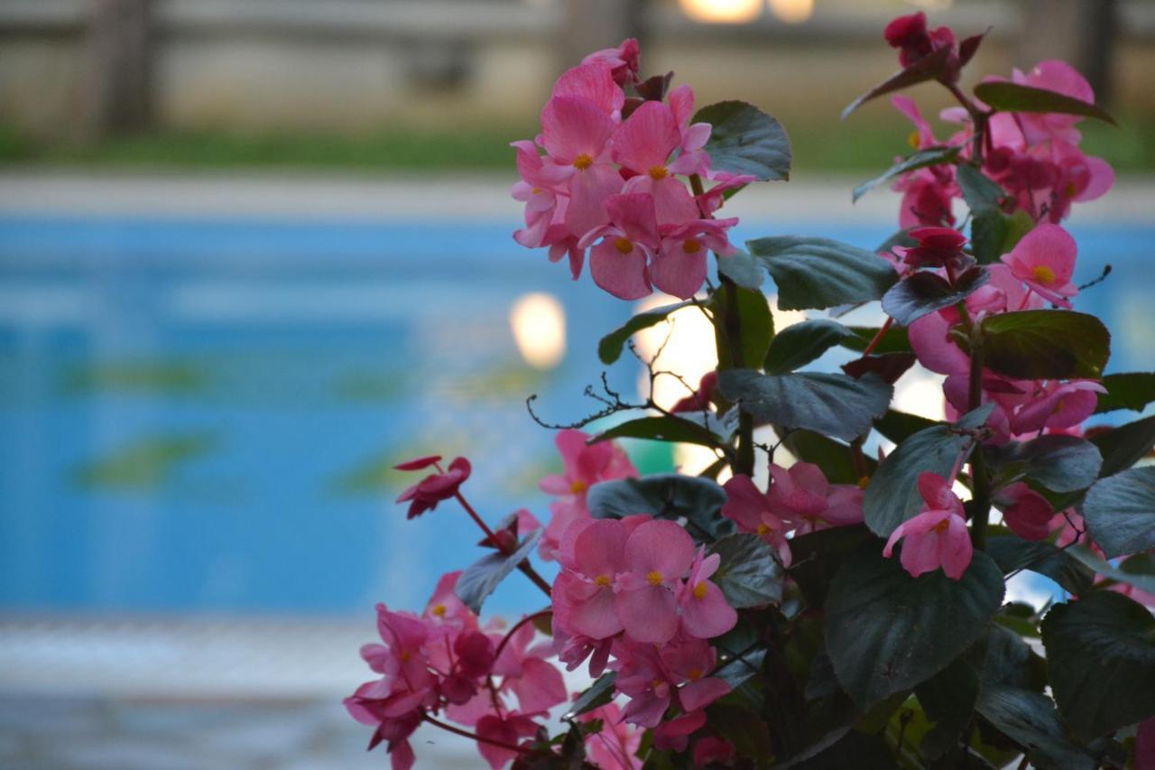Corfu Hellinis Hotel Kanoni  Dış mekan fotoğraf